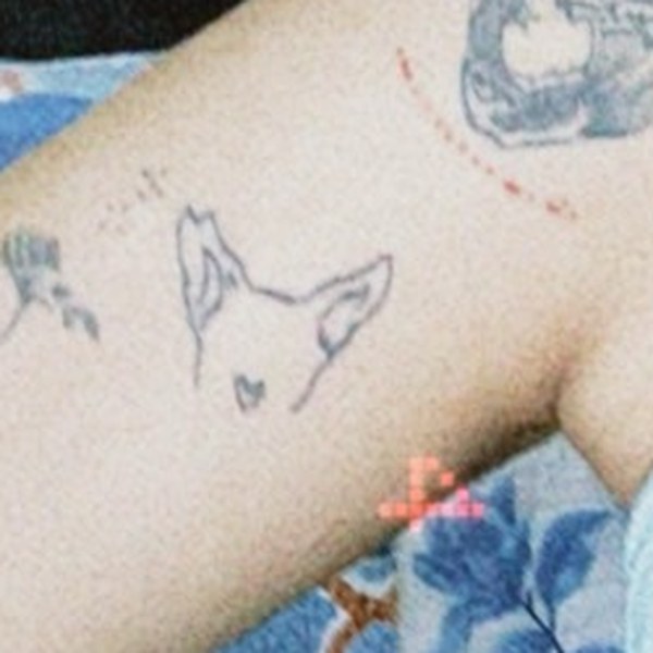 The tattoo on skin