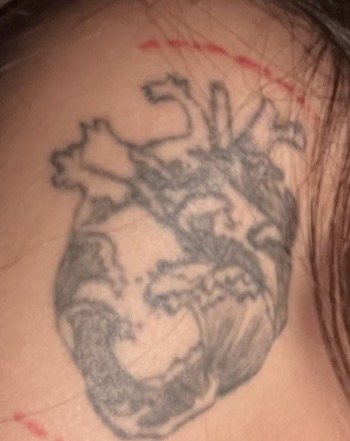 The tattoo on skin