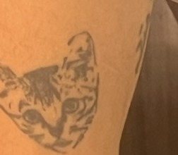 The tattoo on skin