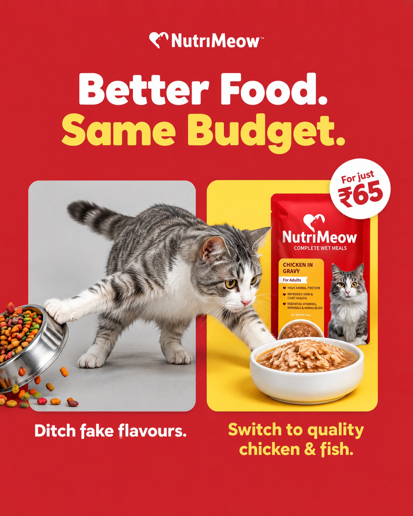 NutriMeow — Meta ads