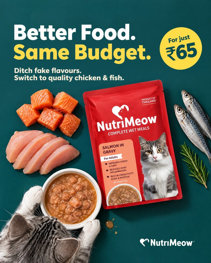 NutriMeow × HUFT