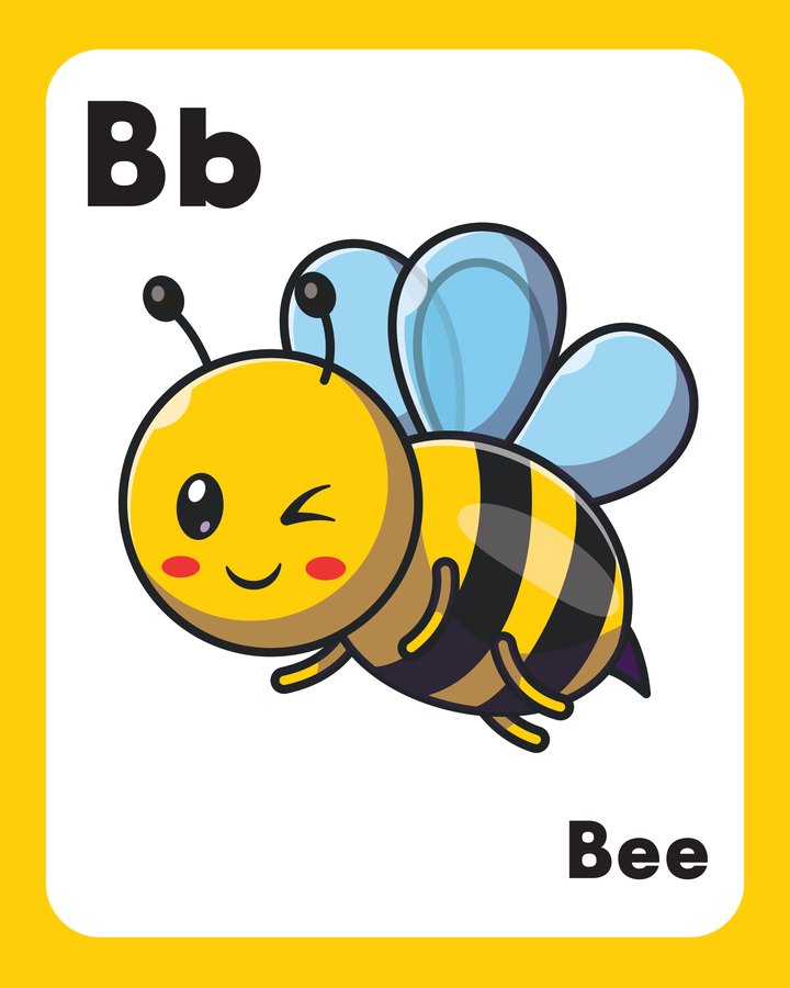 Alphabet cards